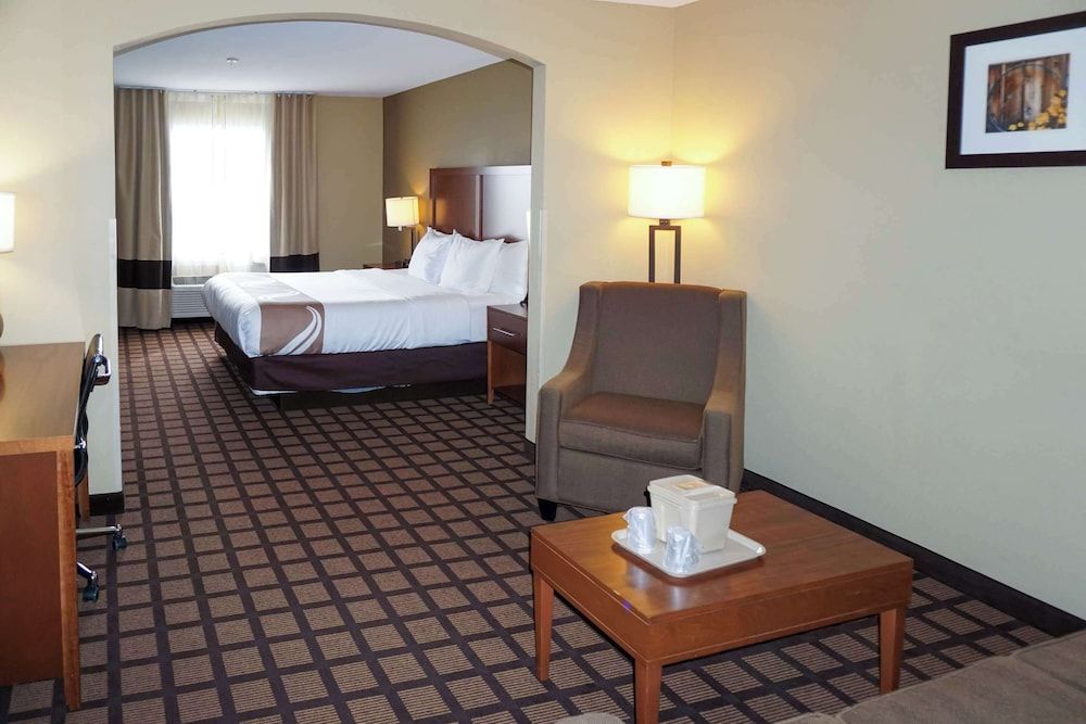Suite, 1 King Bed with Sofa bed