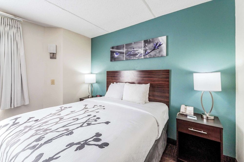 Room, 1 Queen Bed, Accessible, Non Smoking