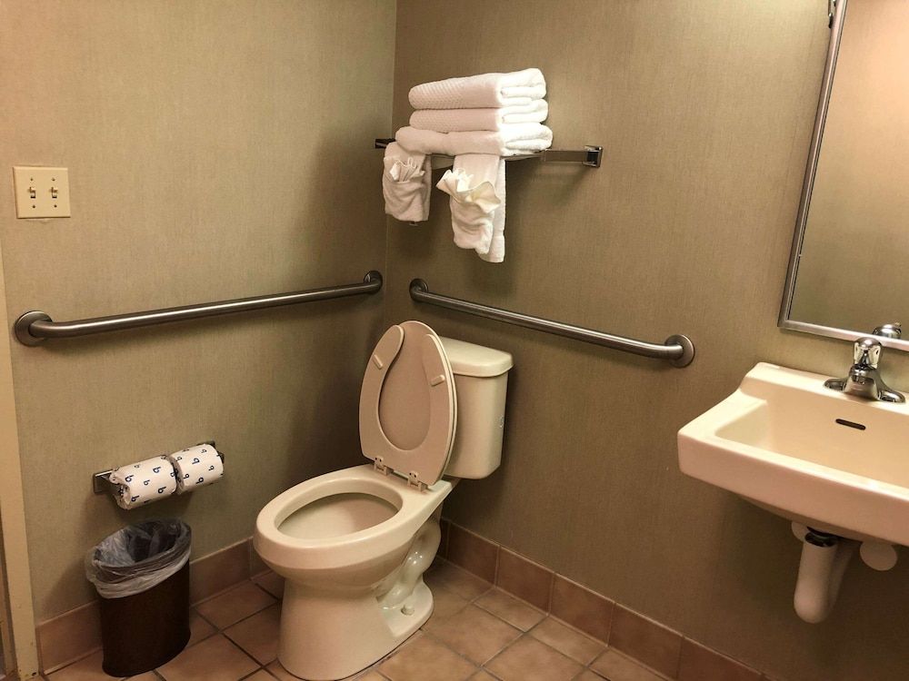 Room, 1 King Bed, Accessible, Non Smoking (Roll-In Shower)