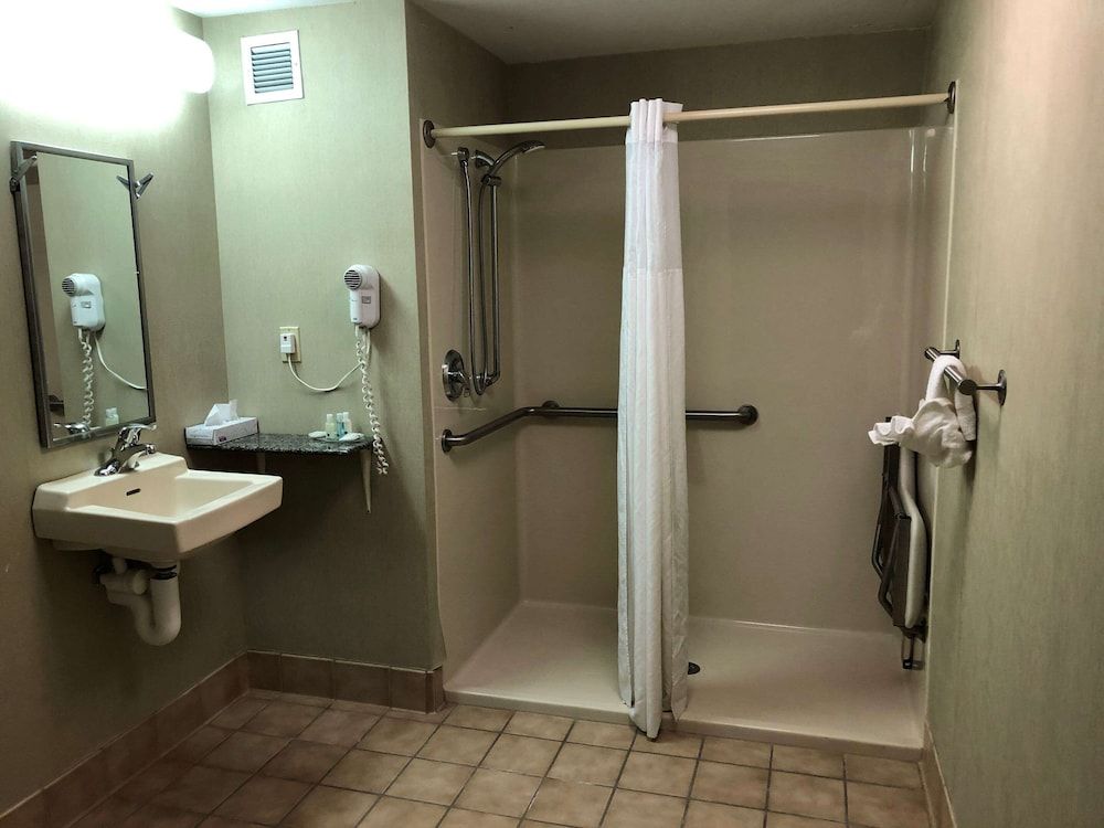 Room, 1 King Bed, Accessible, Non Smoking (Roll-In Shower)