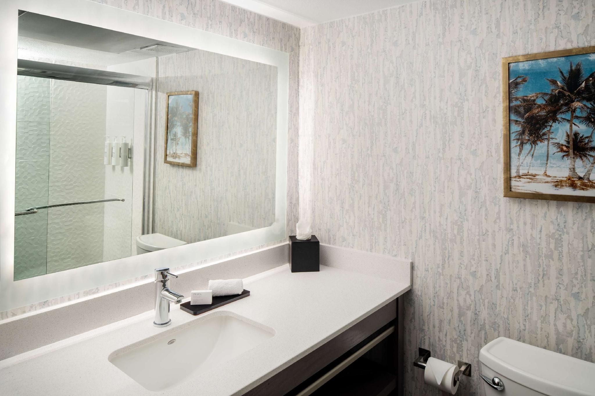 1 Kng 1 Bdrm Conf Ste Hearing Access Atrium Ns