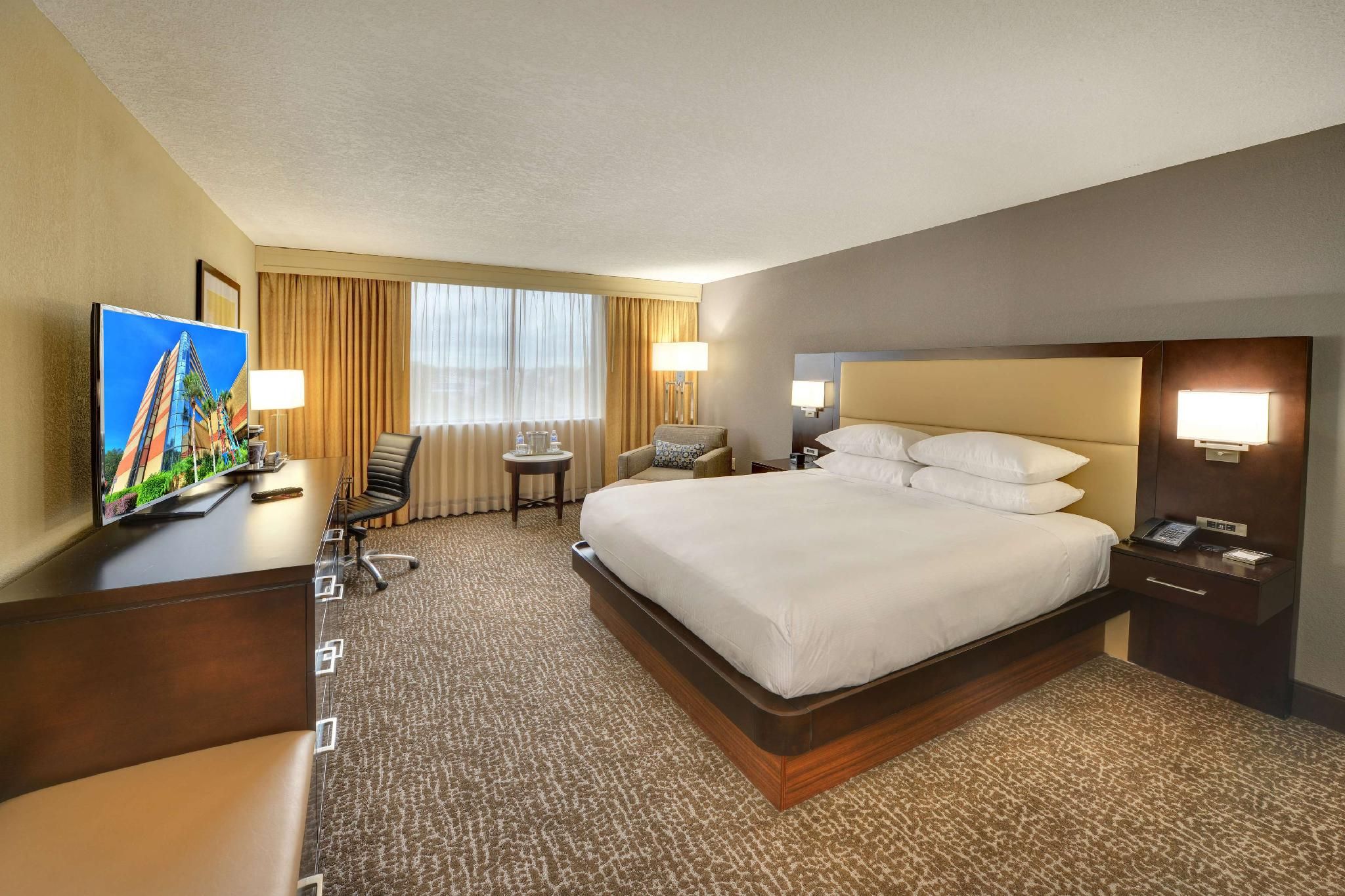 1 King Bed