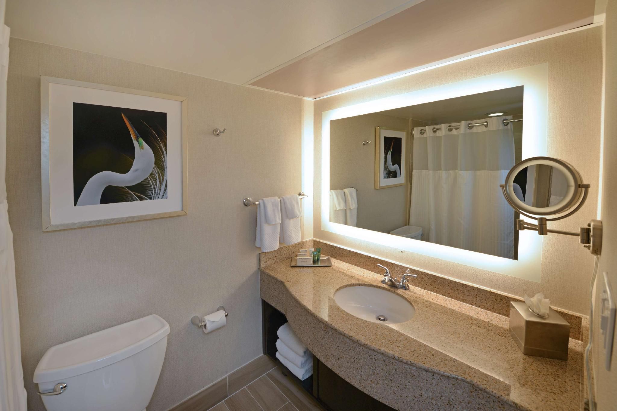 1 King Bed Corner Room
