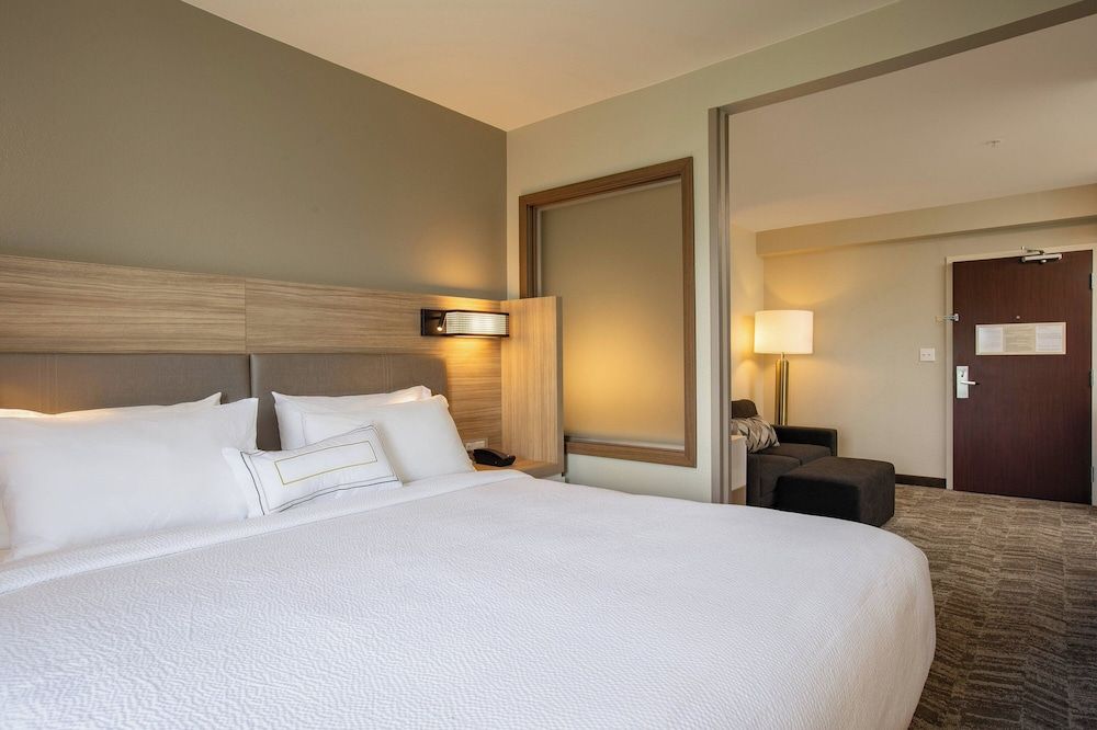Suite, 1 King Bed with Sofa bed, Non Smoking