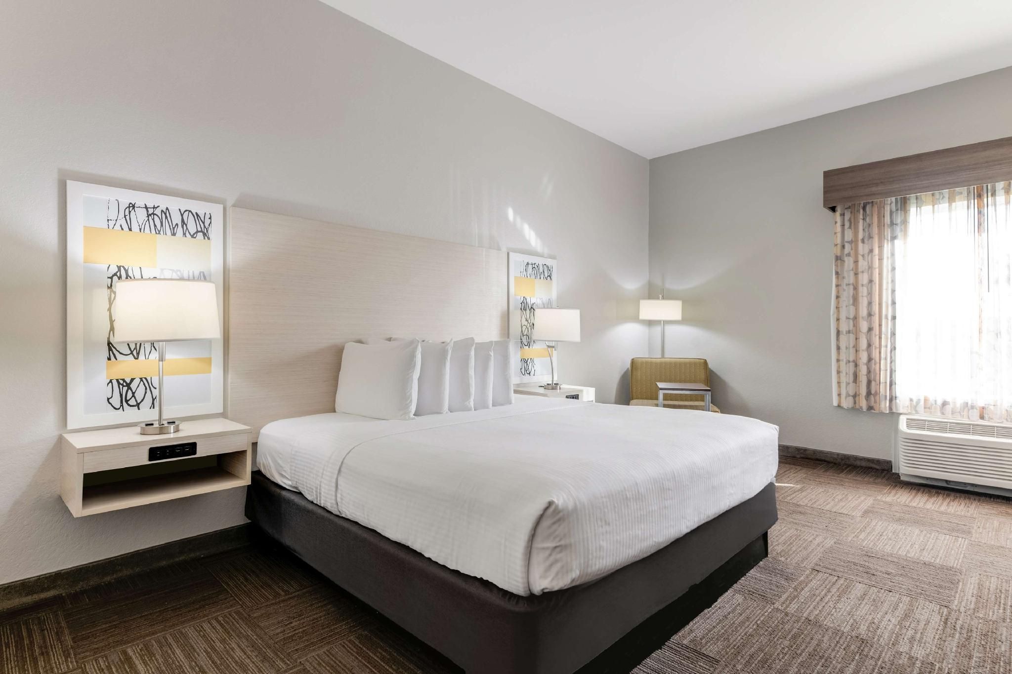 Accessibility - 1 King Bed, Roll-in Shower, Nonsmoking