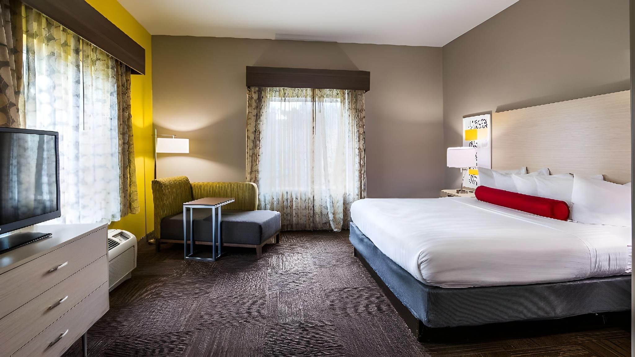 Accessibility - 1 King Bed, Roll-in Shower, Nonsmoking