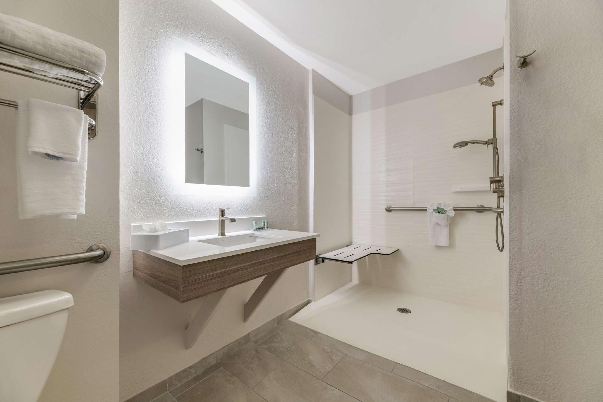 Accessibility - 1 King Bed, Roll-in Shower, Nonsmoking