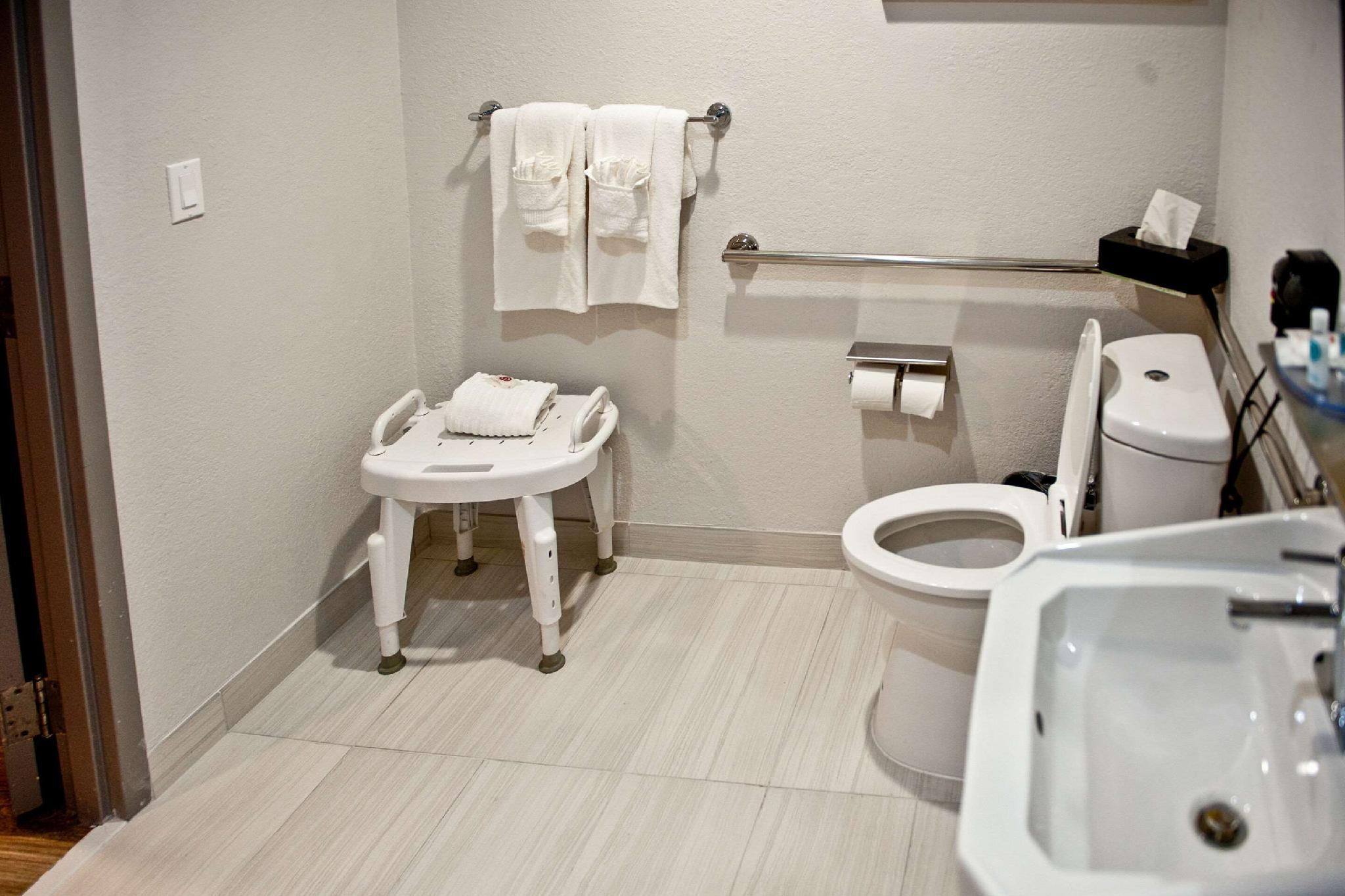 1 King Bed, Suite, Nonsmoking, Accessible