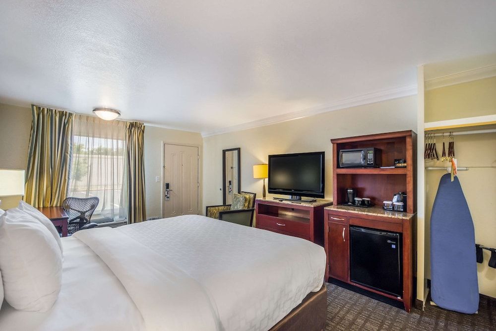 Room, 1 King Bed, Non Smoking