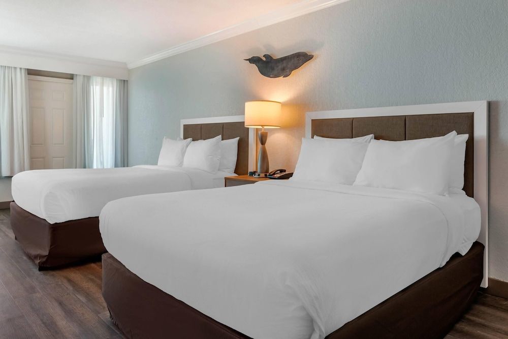 2 Queen Beds, Poolside Room, Accessible, No Smoking
