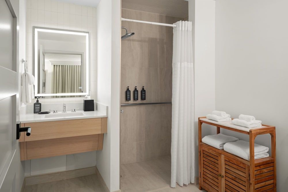 Room, 1 King Bed, Non Smoking (Mobility/Hearing Access, Roll-In Shwr)