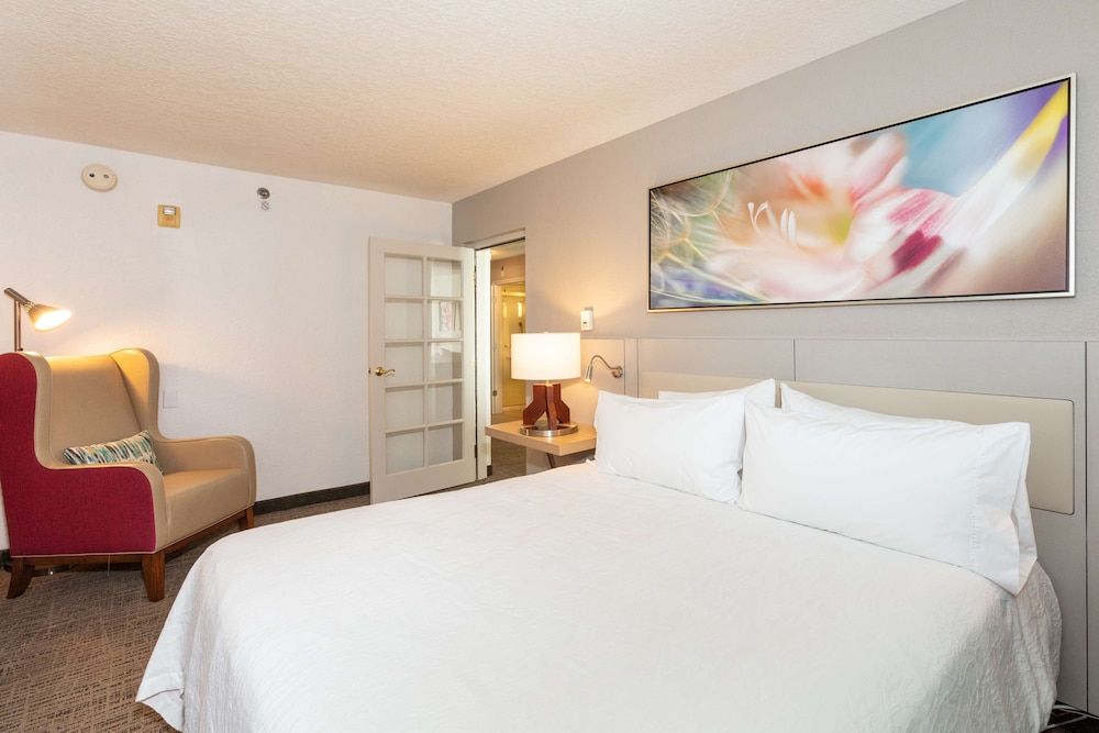 One Bedroom Suite, One King Bed