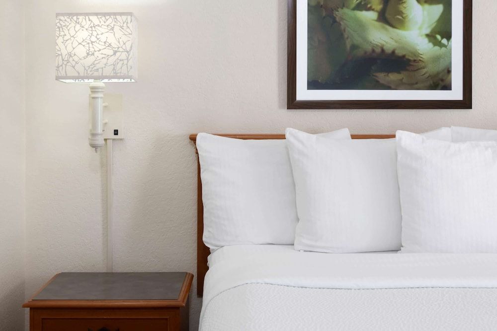 Room, 1 King Bed