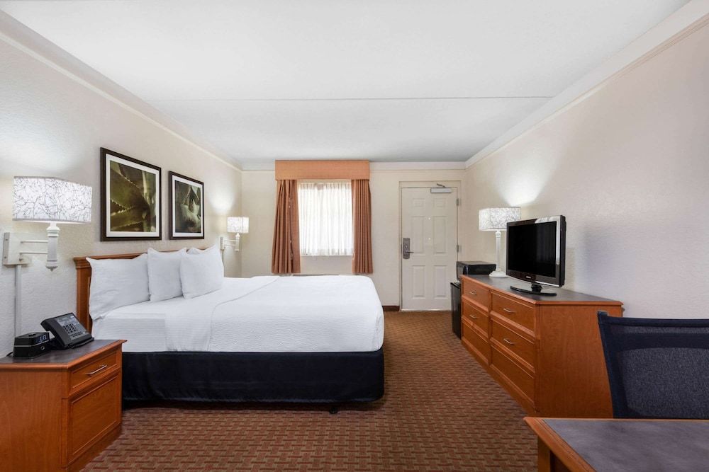 Room, 1 King Bed