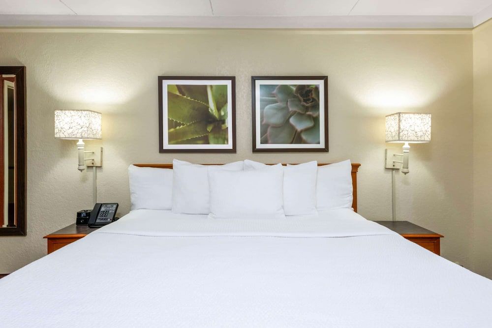Suite, 1 King Bed with Sofa Bed