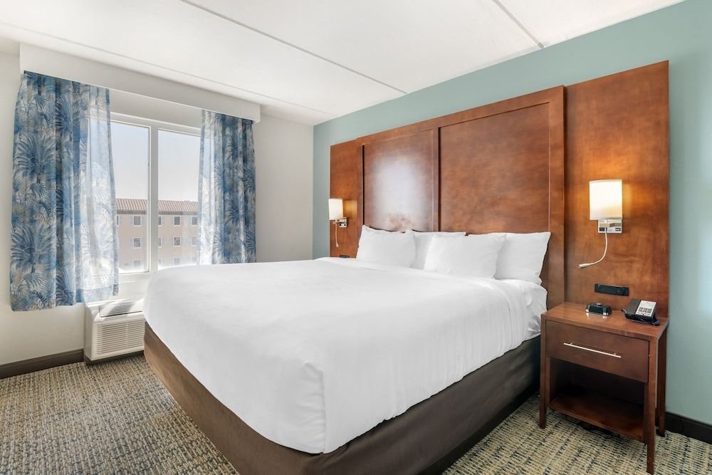 Suite, 1 King Bed with Sofa bed, Accessible, Non Smoking