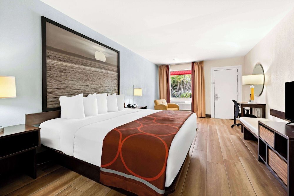 Room, 1 King Bed, Non Smoking, Pool View
