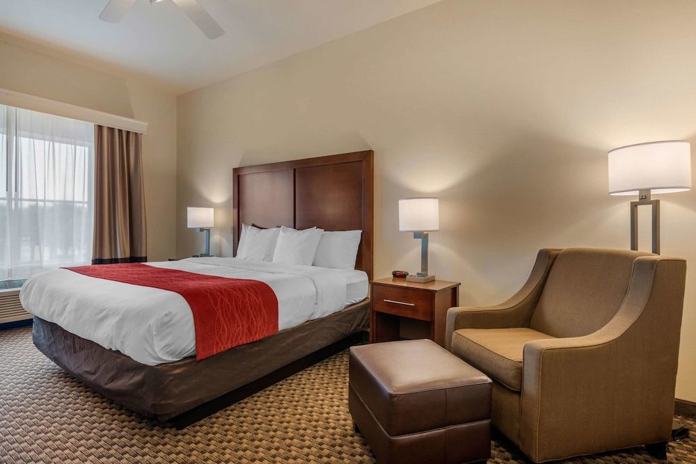 Standard Room, 1 King Bed, Non Smoking