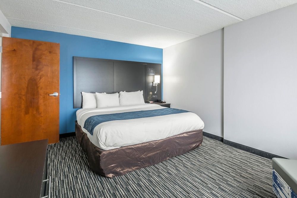 Standard Room, 1 King Bed, Non Smoking (Not Pet Friendly)