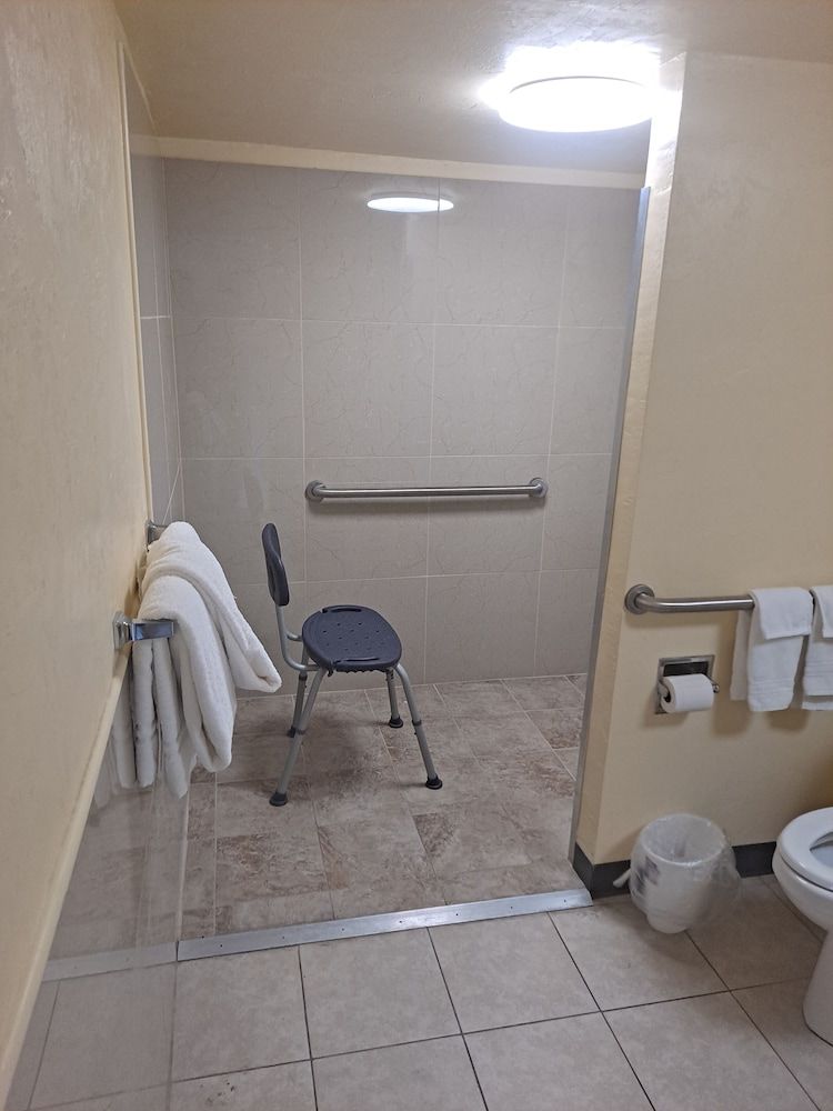 Room, 1 King Bed, Accessible, Non Smoking (Mobility/Hearing,roll-in shower)