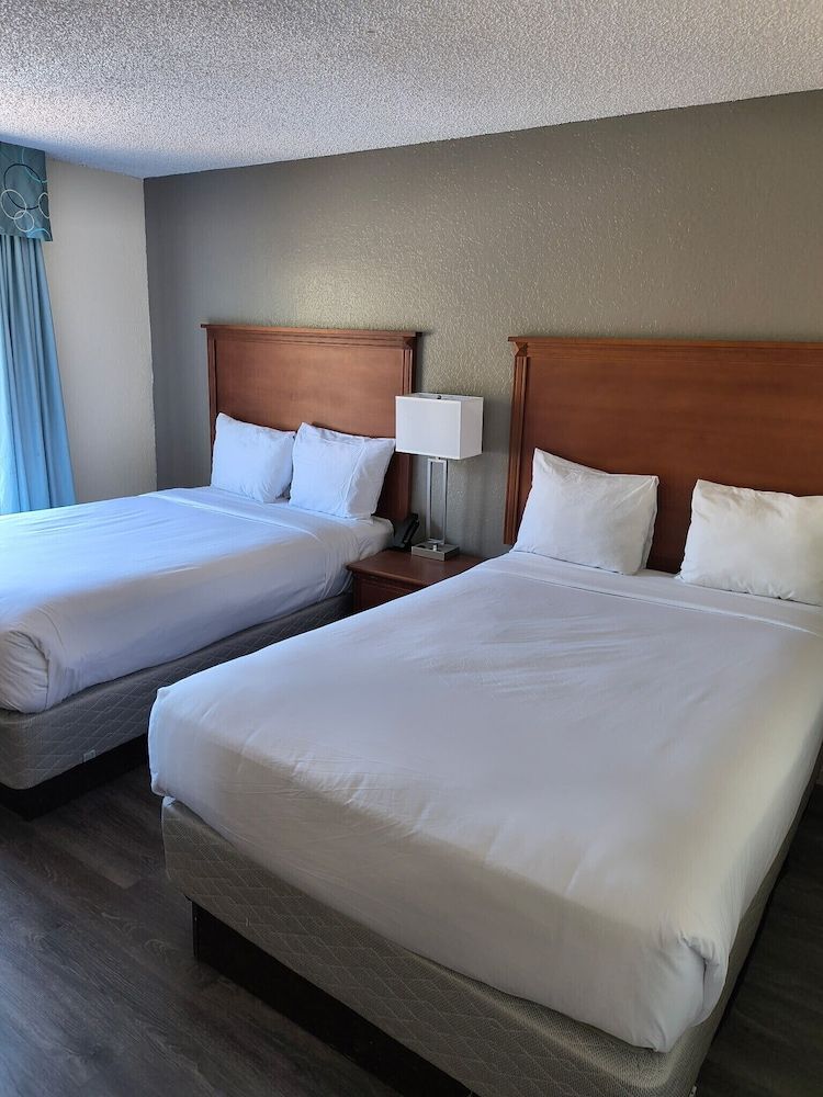 Double Room, 2 Double Beds