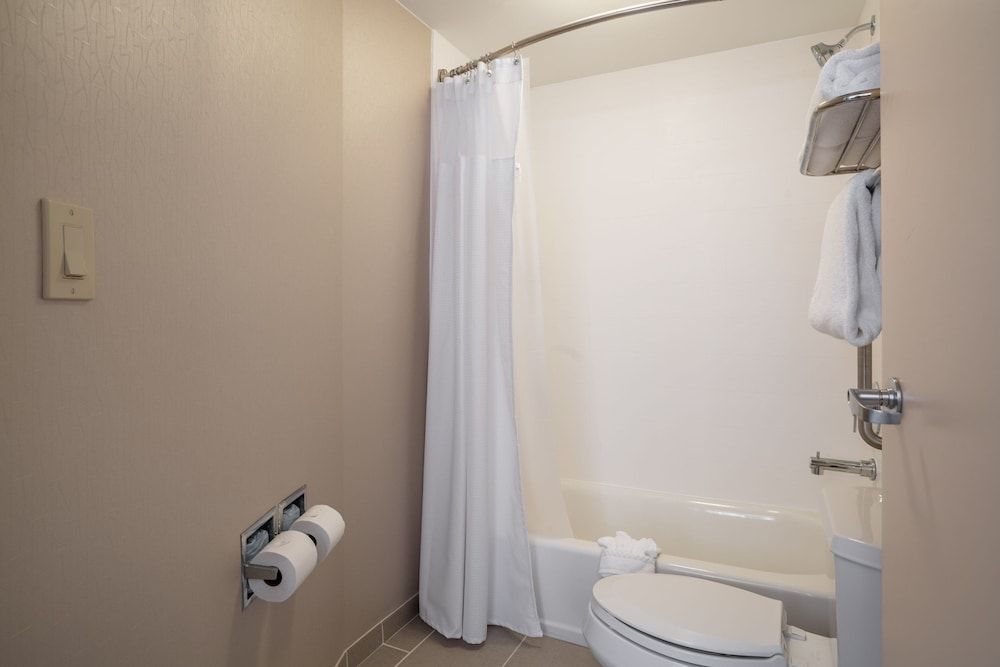Suite, 1 King Bed with Sofa bed (Mobility/Hearing Access, Roll-In Shwr)