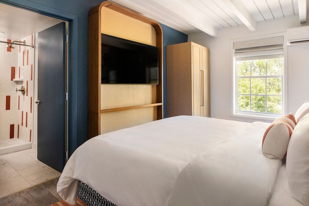 Room, 1 King Bed (Mobility/Hearing Accessible, Tub)