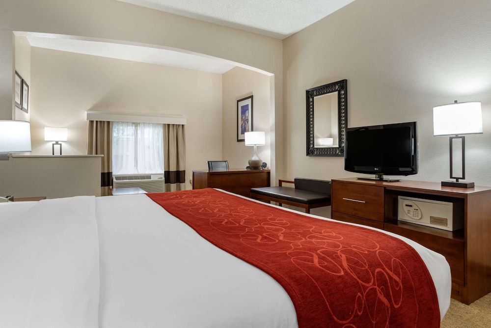 Suite, 1 King Bed with Sofa bed, Accessible, Non Smoking
