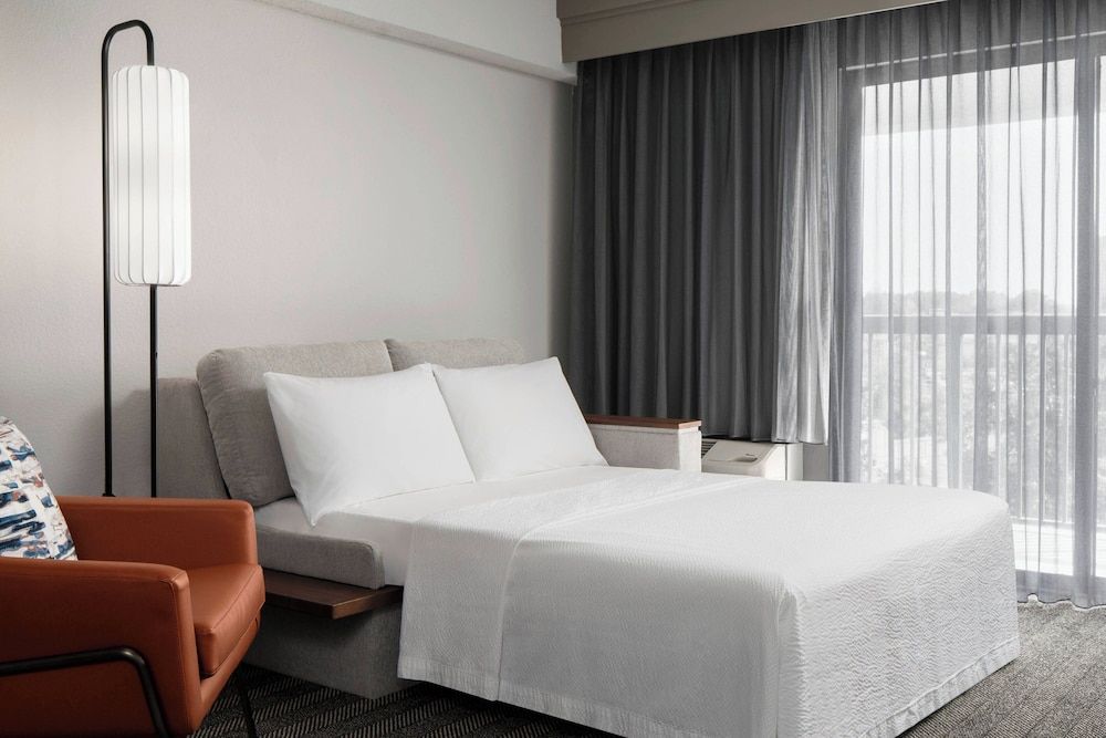 Room, 1 King Bed with Sofa bed, Non Smoking (Mobility Accessible, Roll-in Shower)
