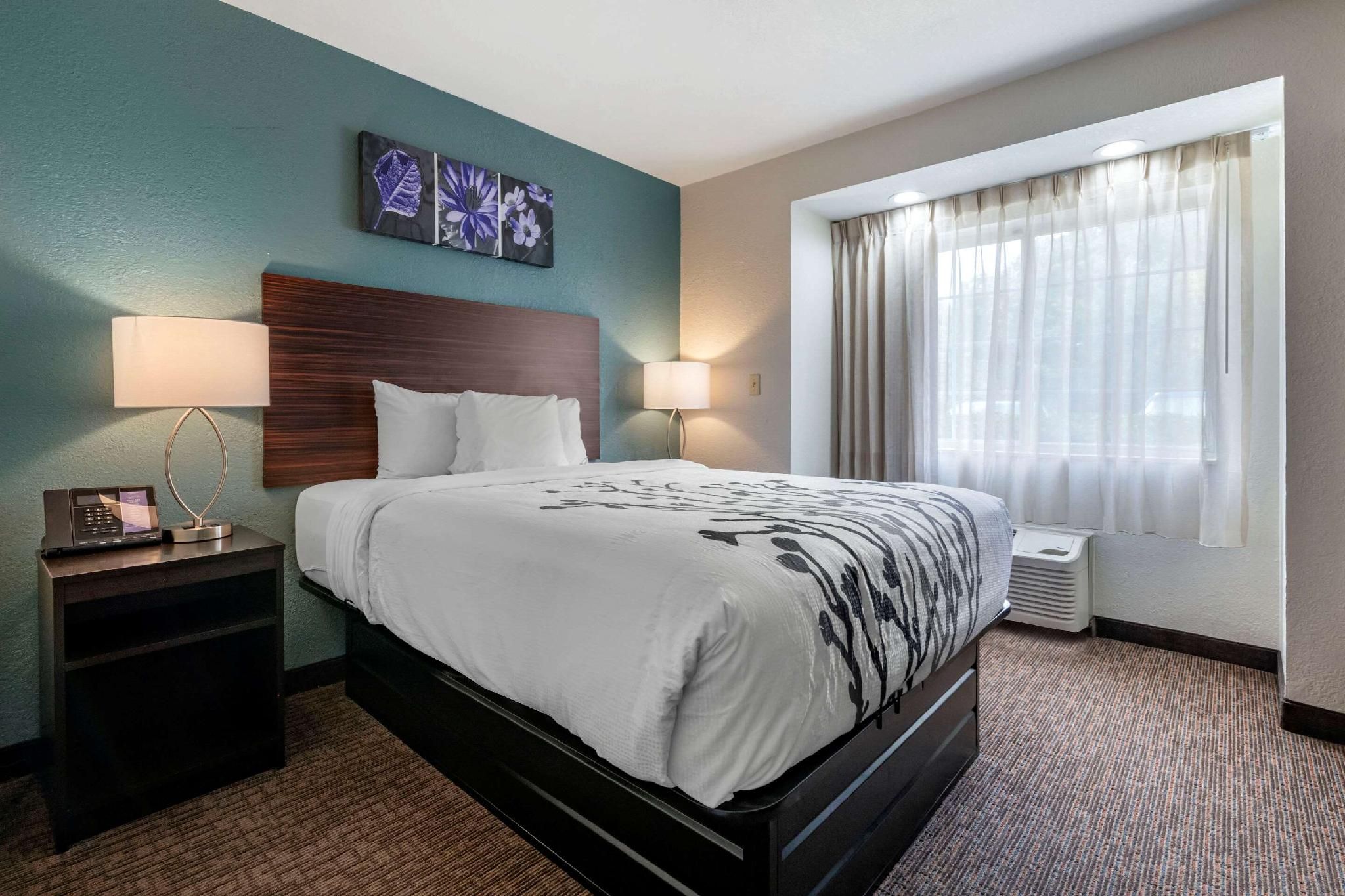 1 King Bed, Nonsmoking