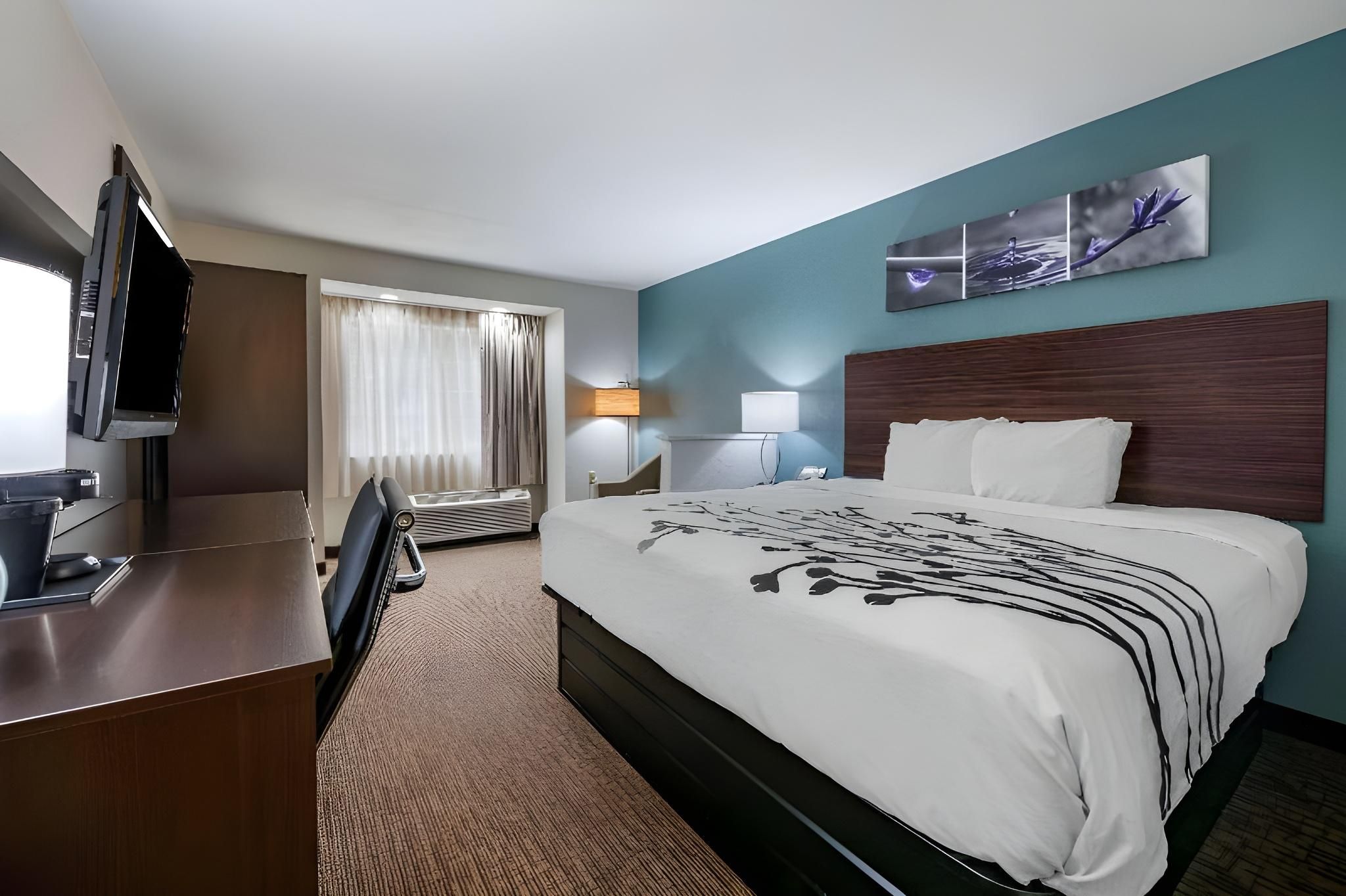 1 King Bed, Nonsmoking, Accessible