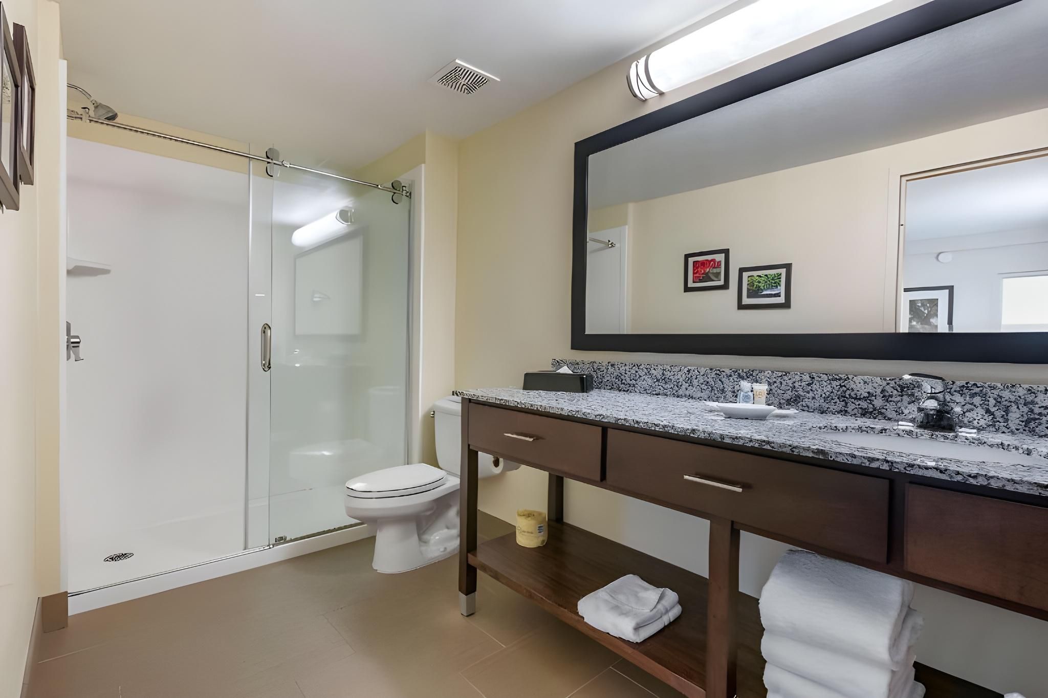 1 King Bed, Suite, Nonsmoking