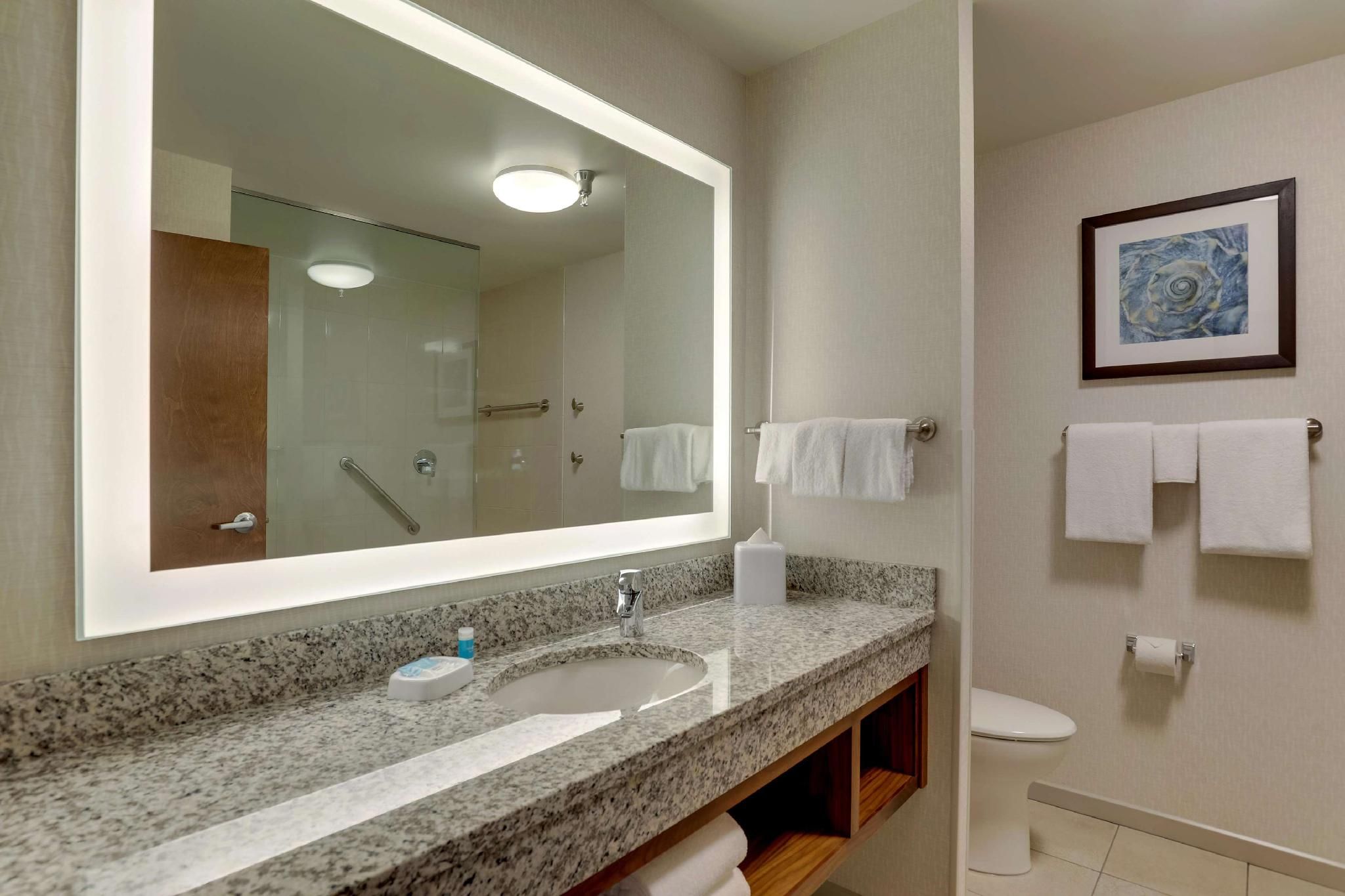1 King Bed Suite, 2 Rooms with Sofa Sleeper, View