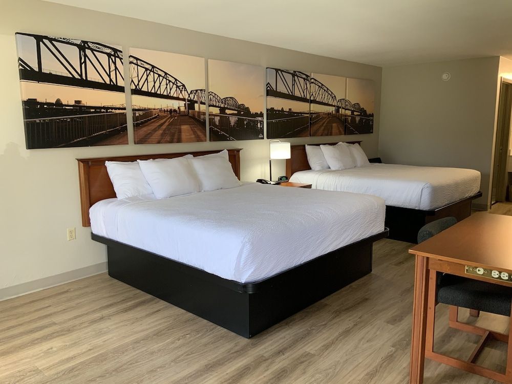 Studio Suite, Multiple Beds, Non Smoking