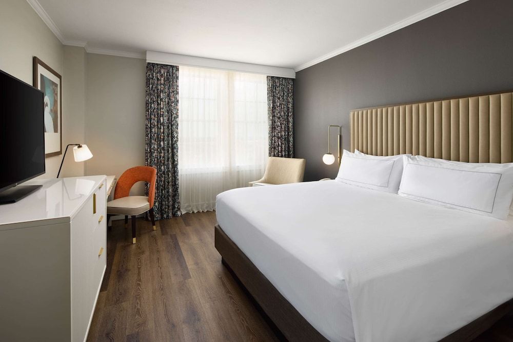 Room, 1 King Bed