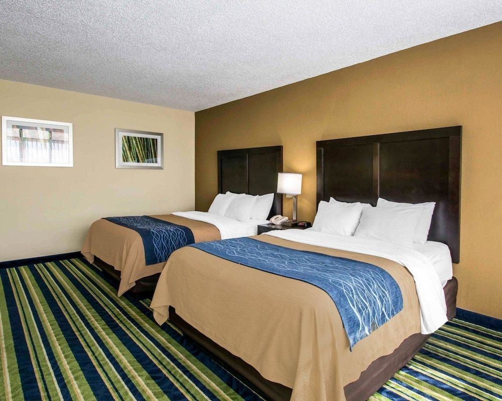 Suite, 2 Double Beds, Accessible, Non Smoking