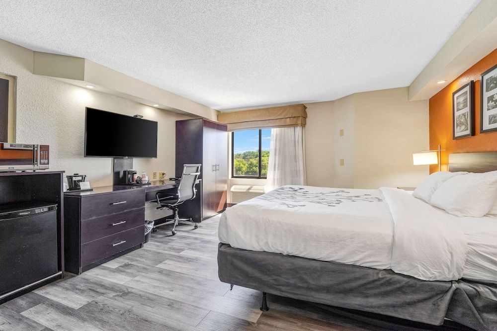 Room, 1 King Bed, Accessible, Non Smoking