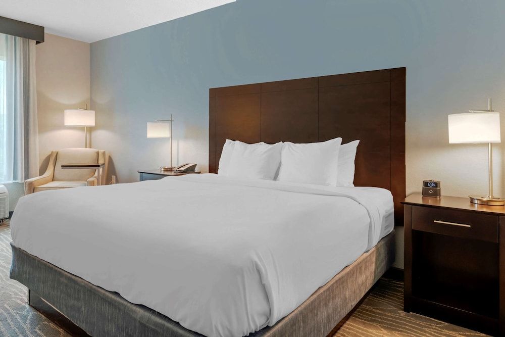 Standard Room, 1 King Bed, Non Smoking