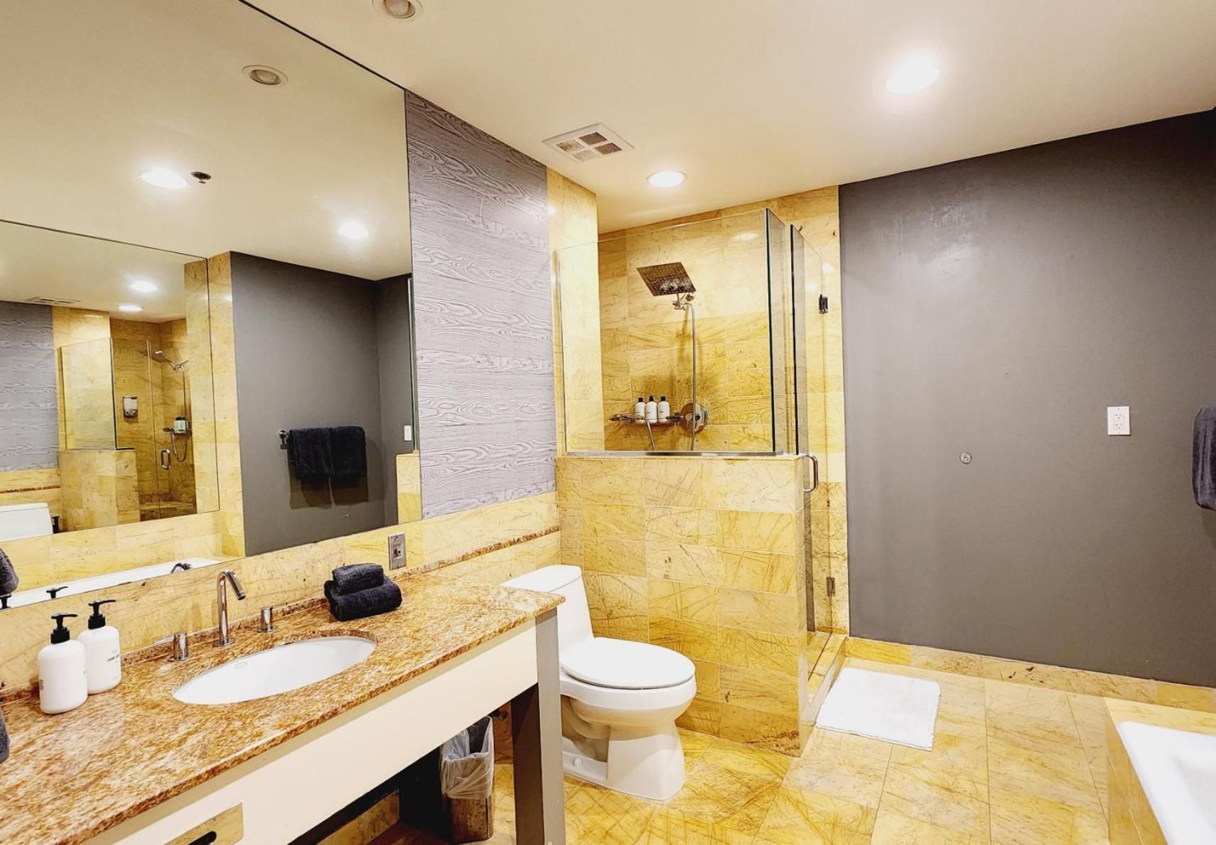 Apartment with City View