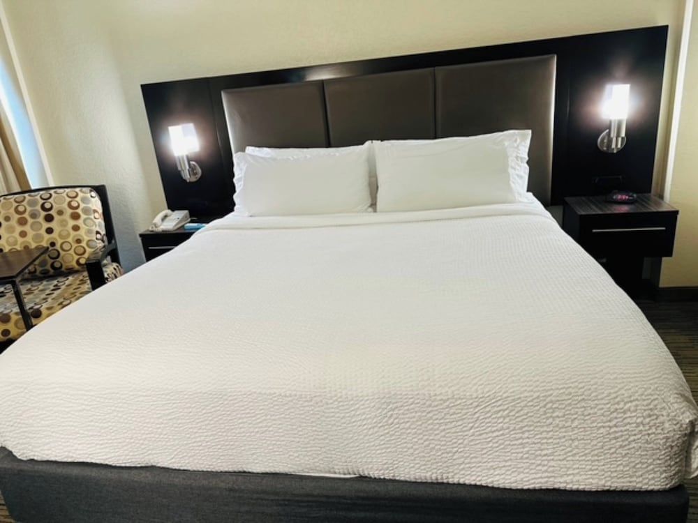 Standard Room, 1 King Bed, Roll-in Shower (Communications Accessible)