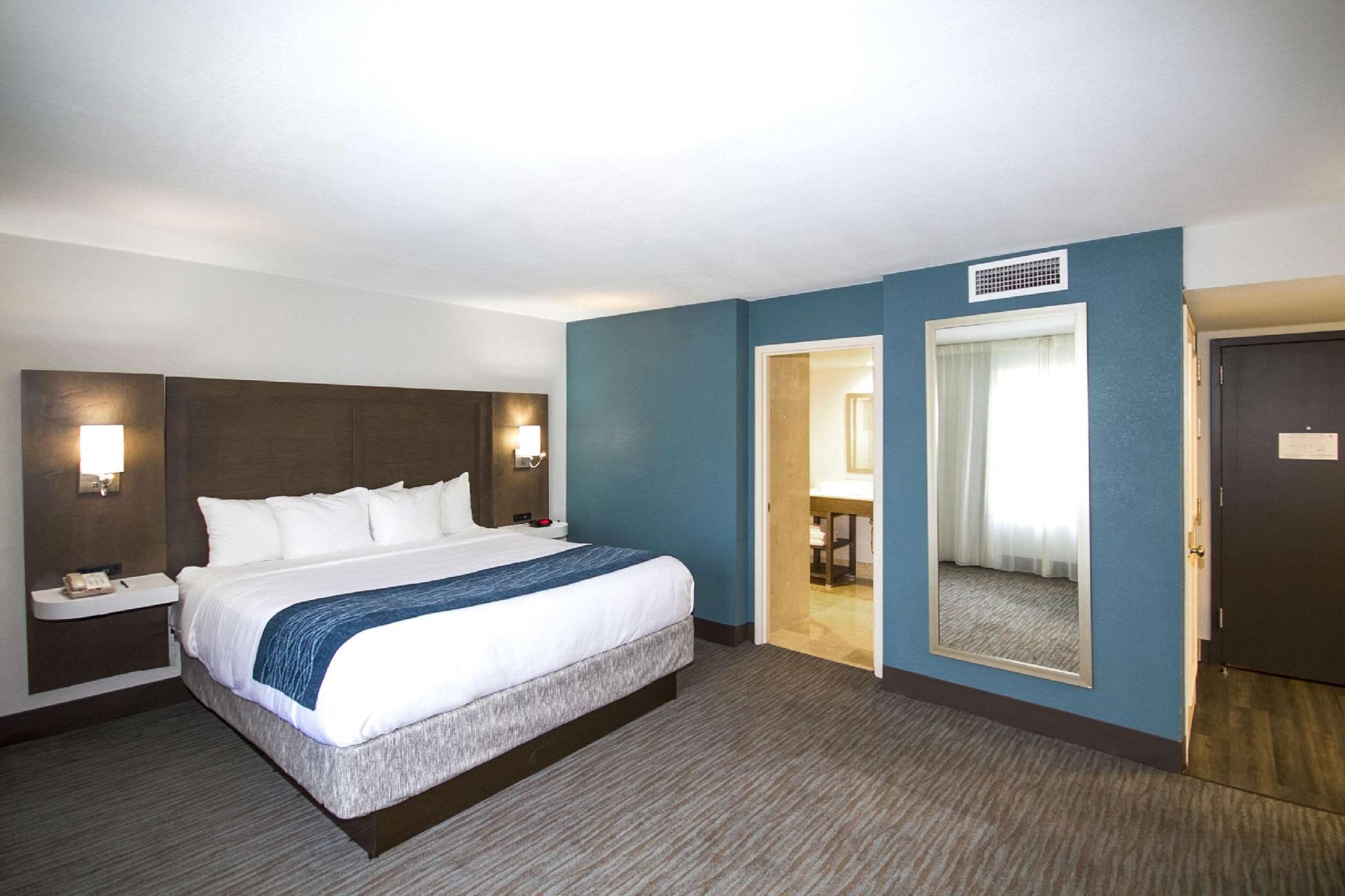 1 King Bed, Nonsmoking