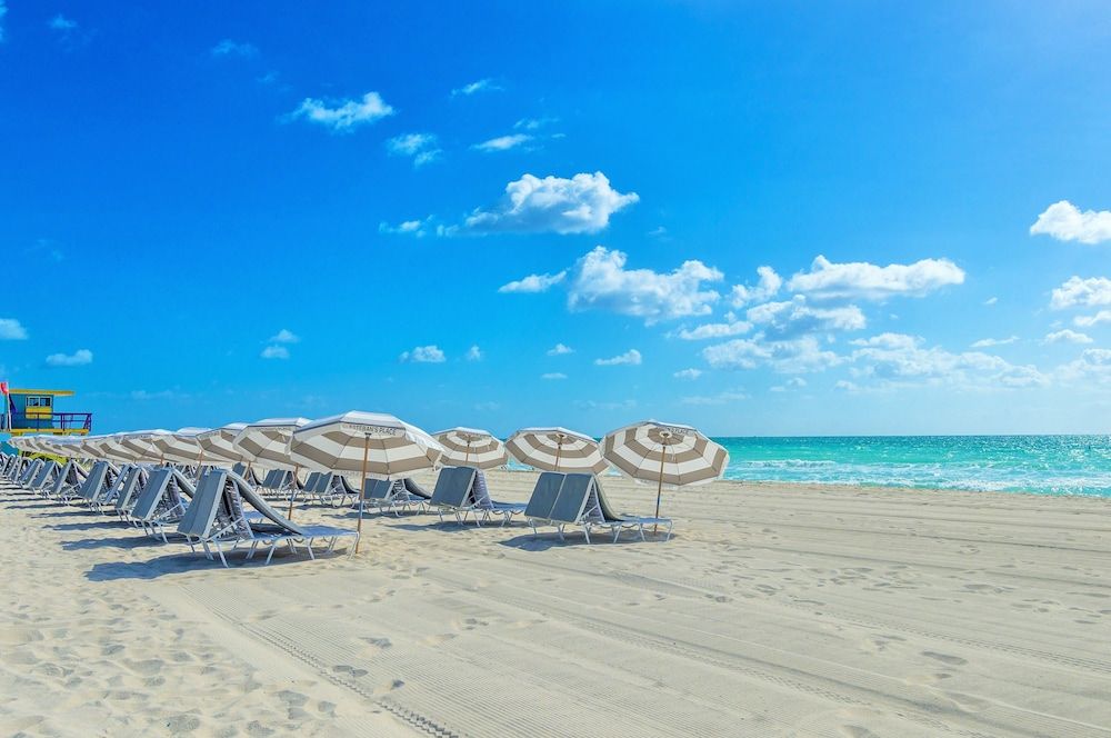 undefined Cavalier Hotel South Beach