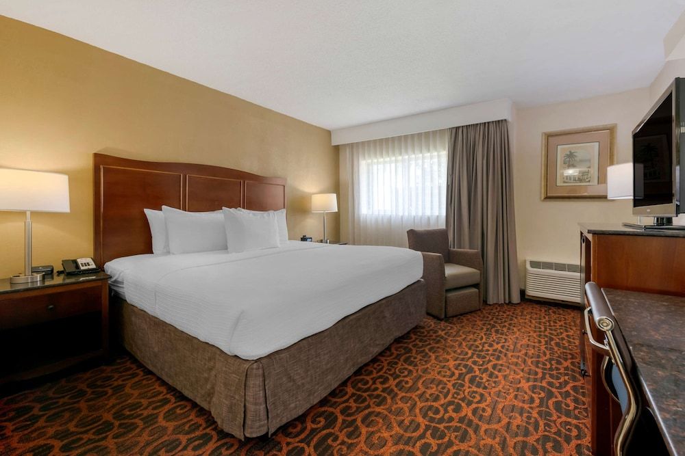 Standard Room, 1 King Bed, Non Smoking, Refrigerator & Microwave
