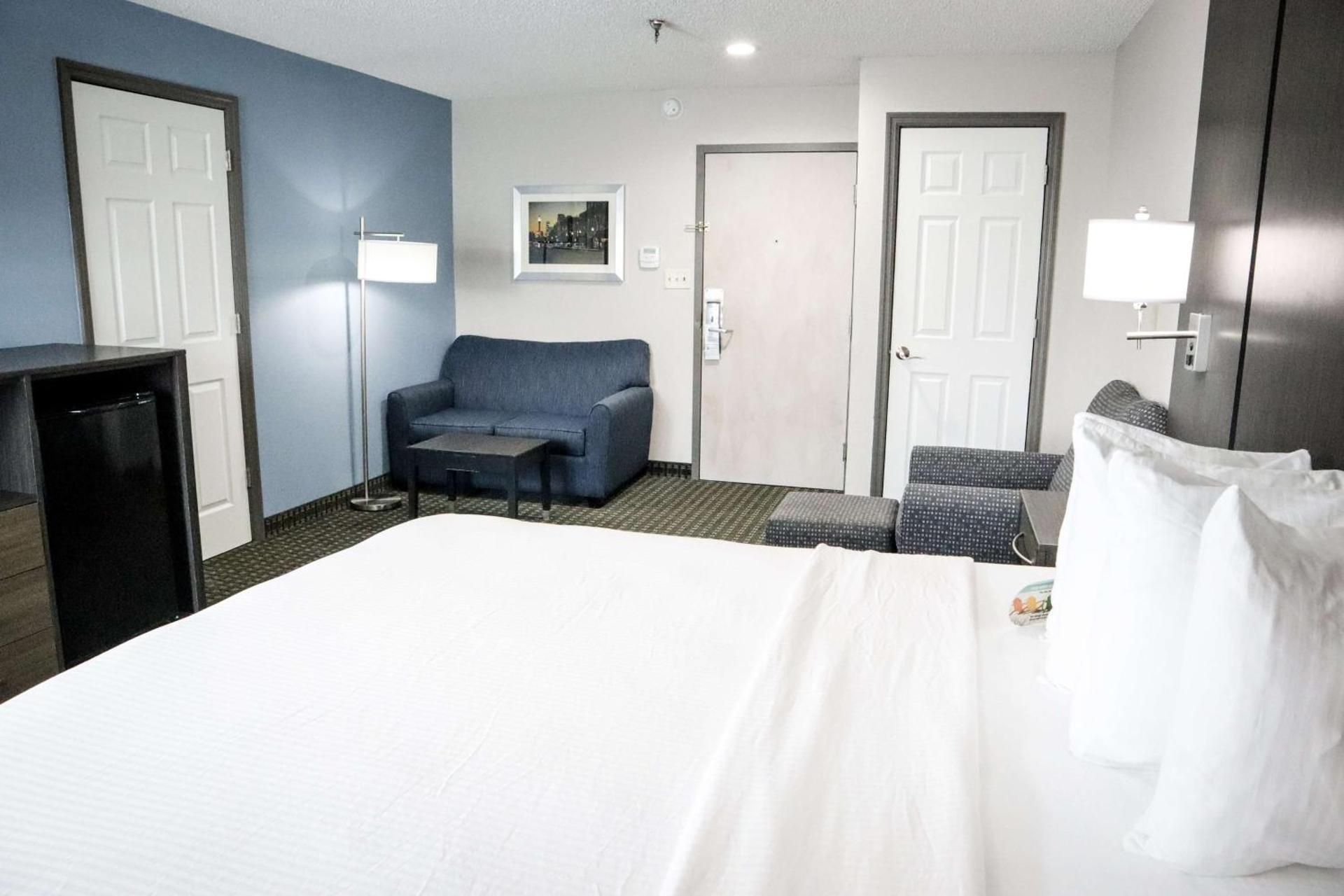 Suite - 1 King Bed, Nonsmoking, Larger Room, Sofabed