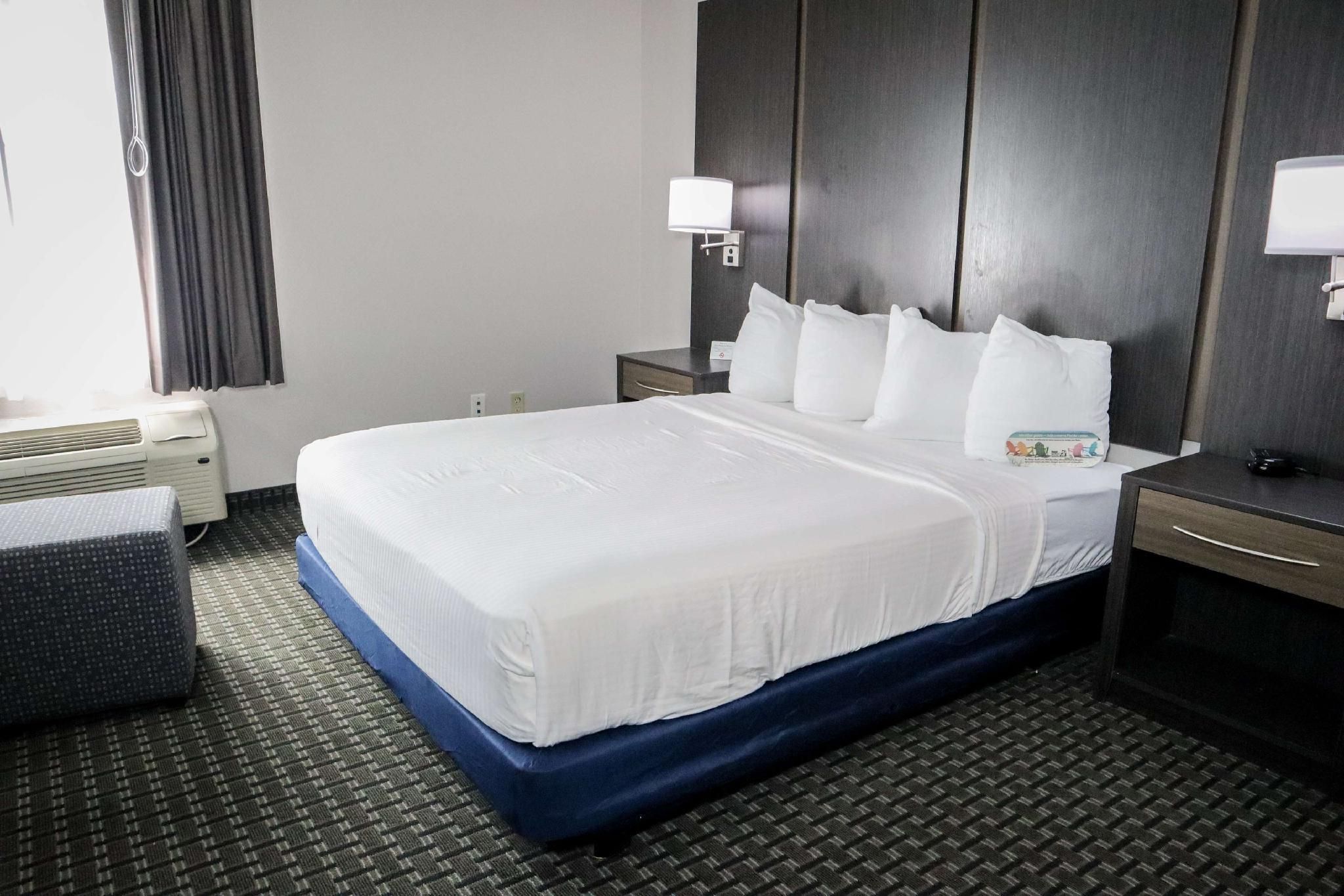 Accessibility - 1 Queen, Roll-in Shower, Ground Floor, Nonsmoking