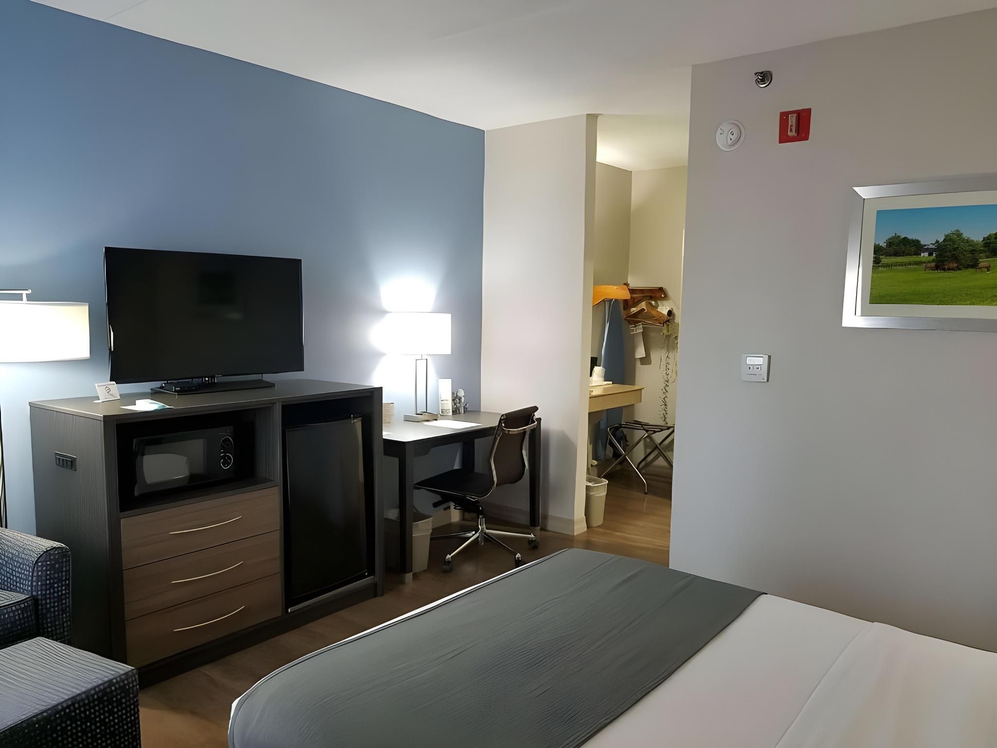 Accessibility - 1 Queen, Roll-in Shower, Ground Floor, Nonsmoking