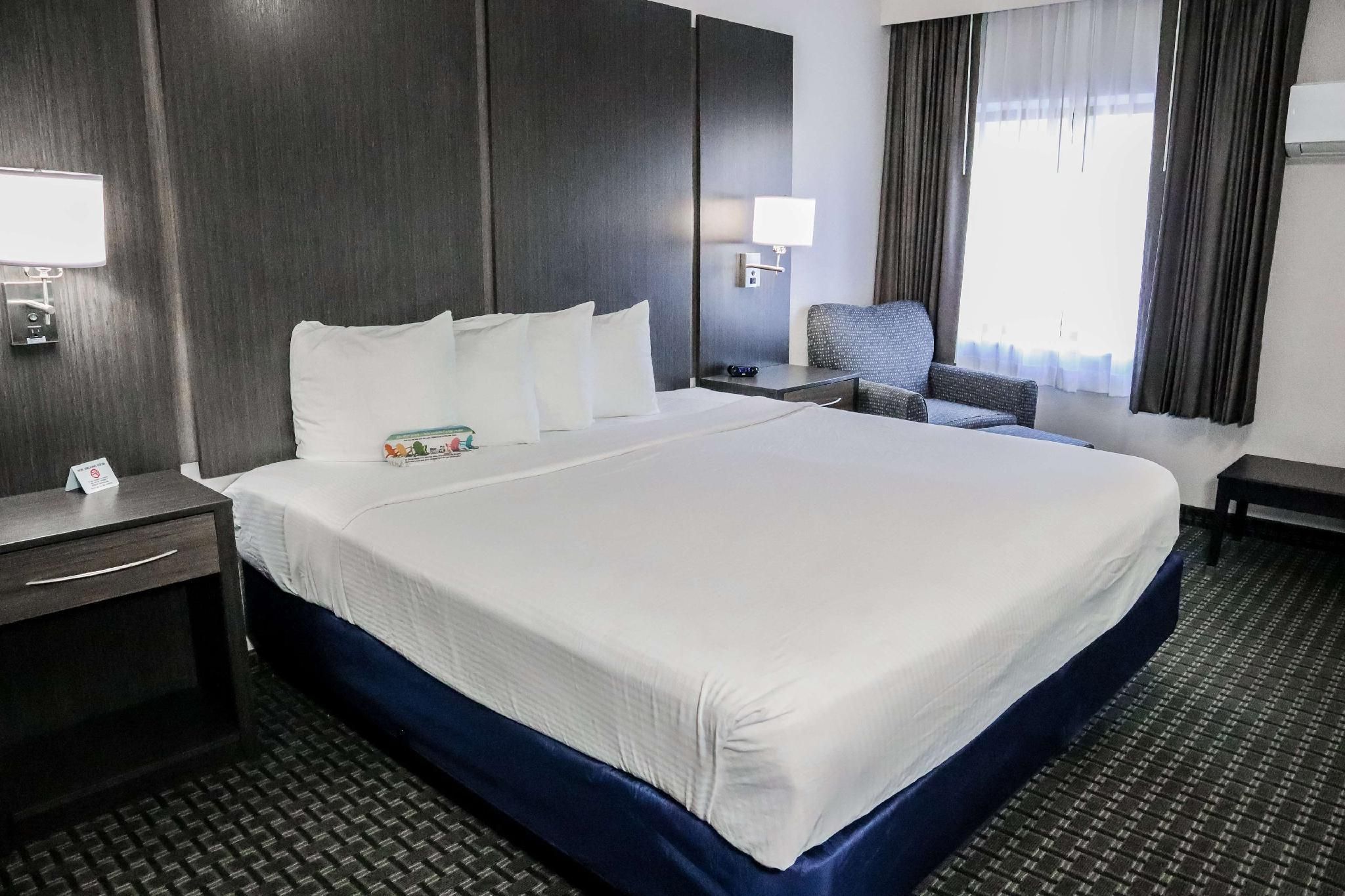 1 King Bed, Nonsmoking, Larger Room, Sofabed