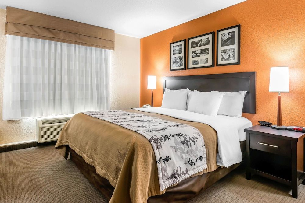 Room, 1 King Bed, Accessible, Non Smoking