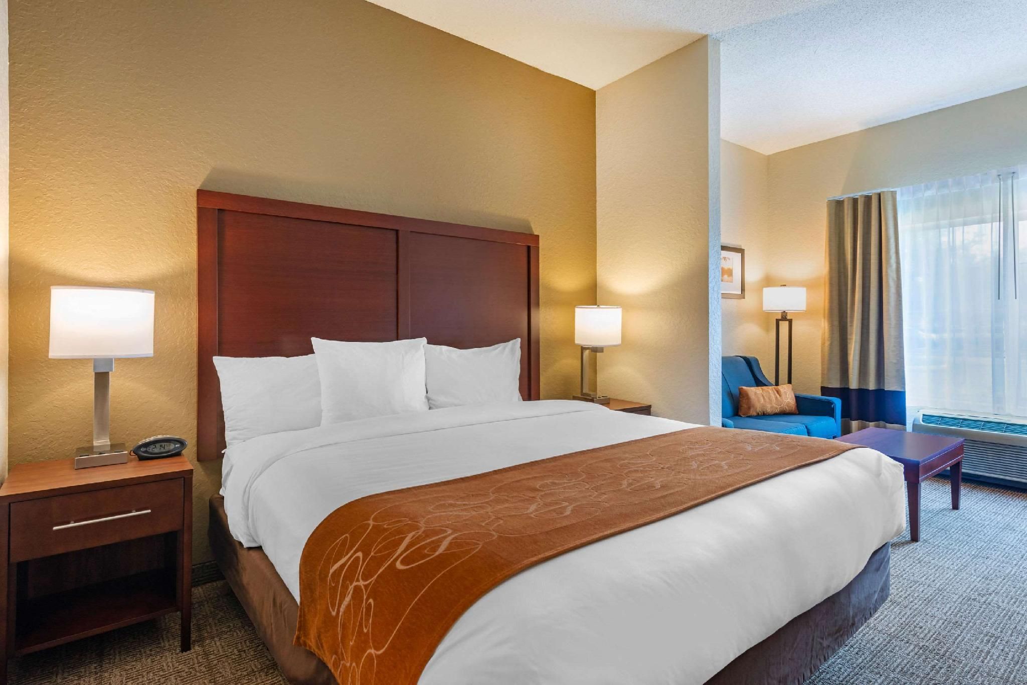 1 King Bed, Suite, No smoking, Accessible