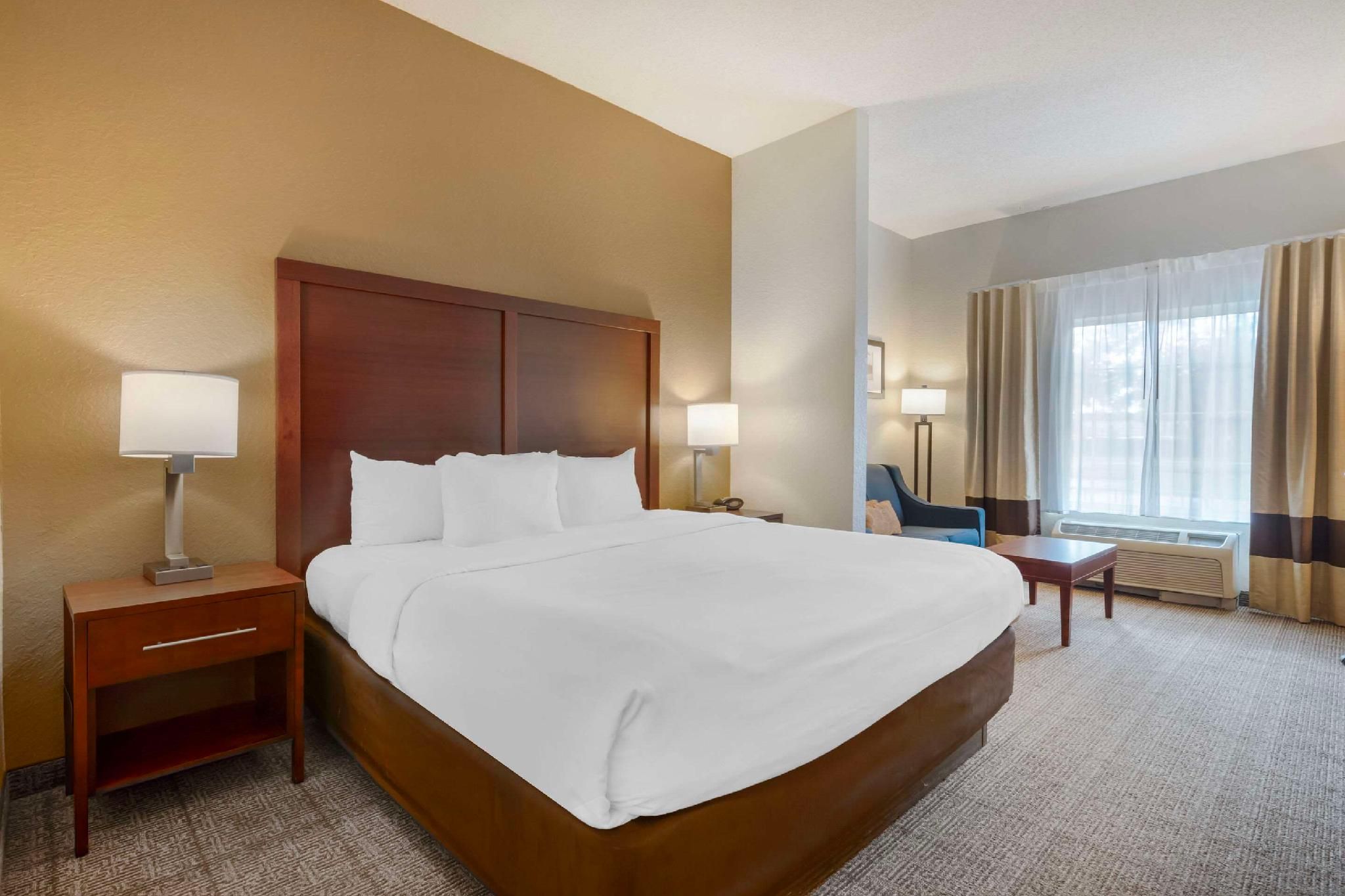 1 King Bed, Suite, No smoking, Accessible